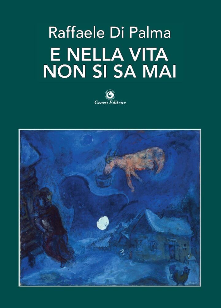 “E nella vita non si sa mai”, il nuovo libro dell’architetto, docente e scrittore Raffaele Di Palma